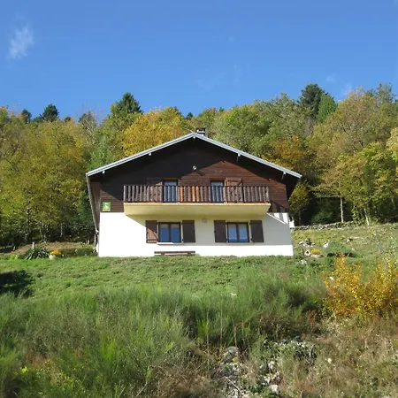 Vakantiehuis Confortable Au Coeur Des Vosges - Animaux Acceptes - Fr-1-589-839