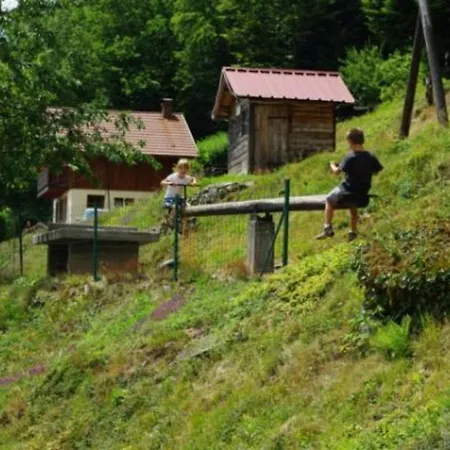 Confortable Au Coeur Des Vosges - Animaux Acceptes - Fr-1-589-839 Gospodarstwo wiejskie *