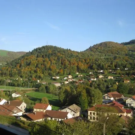 Confortable Au Coeur Des Vosges - Animaux Acceptes - Fr-1-589-839 Le Ménil