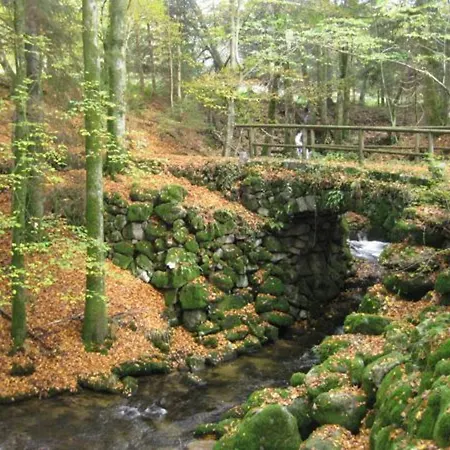 Confortable Au Coeur Des Vosges - Animaux Acceptes - Fr-1-589-839 Vakantiehuis