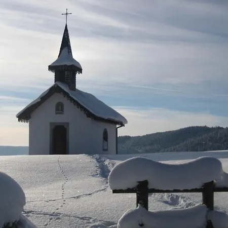Gospodarstwo wiejskie Confortable Au Coeur Des Vosges - Animaux Acceptes - Fr-1-589-839 Le Ménil