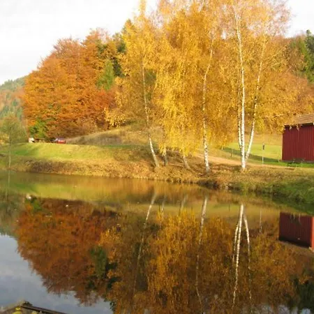 Confortable Au Coeur Des Vosges - Animaux Acceptes - Fr-1-589-839 * Le Ménil