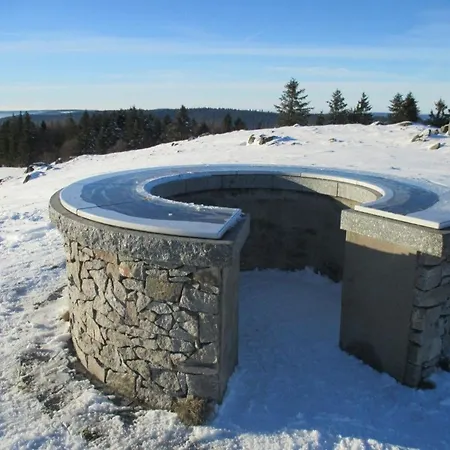 Confortable Au Coeur Des Vosges - Animaux Acceptes - Fr-1-589-839 *