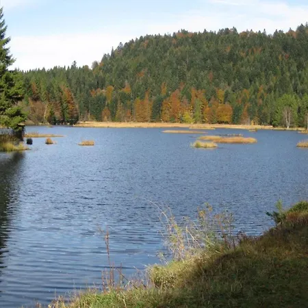 Confortable Au Coeur Des Vosges - Animaux Acceptes - Fr-1-589-839 *